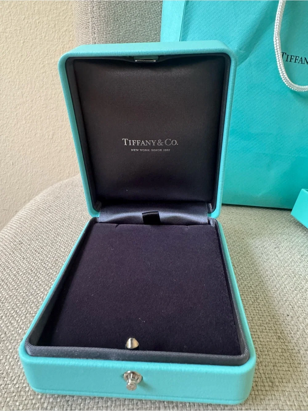 Tiffany & Co. Robin's Egg Blue Gift Bag with Jewelry Box Set